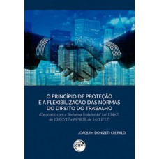 O princípio de proteção e a flexibilização das normas do direito do trabalho