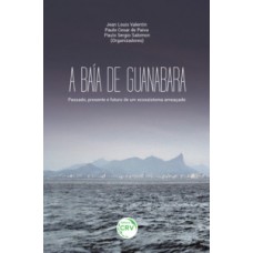 A Baía de Guanabara