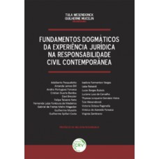 Fundamentos dogmáticos da experiência jurídica na responsabilidade civil contemporânea