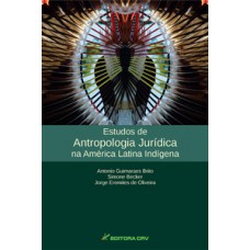 Estudos de antropologia jurídica na América Latina indígena