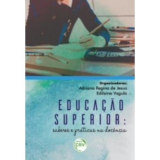 Educação superior