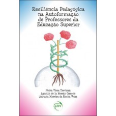 Resiliência pedagógica na autoformação de professores da educação superior