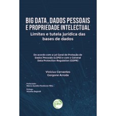 Big data, dados pessoais e propriedade intelectual