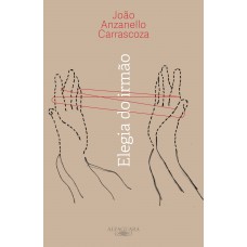 Elegia do irmão