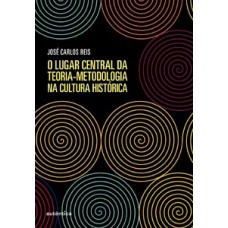 O lugar central da teoria-metodologia na cultura histórica