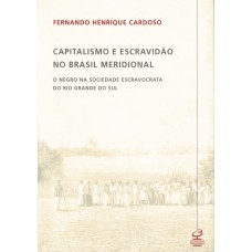 Capitalismo e escravidão no Brasil meridional