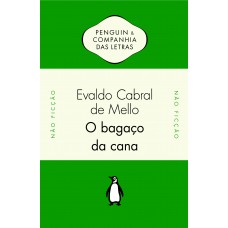 O bagaço da cana