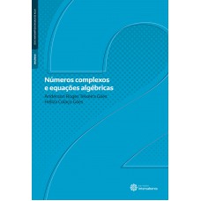 Números complexos e equações algébricas