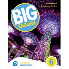 Big English 6 Workbook