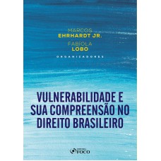 VULNERABILIDADE E SUA COMPREENSÃO NO DIREITO BRASILEIRO - 1ª ED - 2021