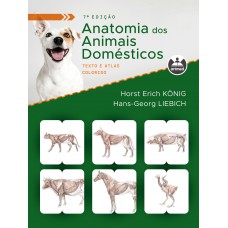 Anatomia dos Animais Domésticos