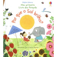 Por que o sol brilha?: Meu primeiro livro dos porquês