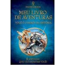 Você é o herói da história : Meu livro de aventuras