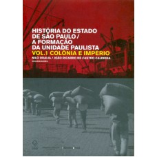 História do estado de São Paulo/A formação da unidade paulista - Vol. 1