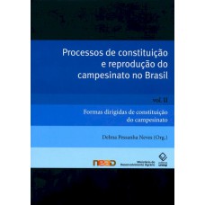 Processos de constituição e reprodução do campesinato no Brasil - Vol. II