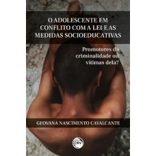 O adolescente em conflito com a lei e as medidas socioeducativas