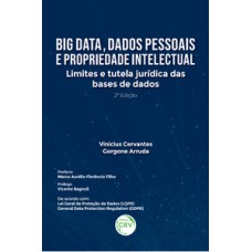 Big data, dados pessoais e propriedade intelectual