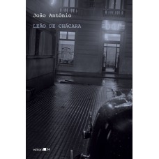 Leão de chácara