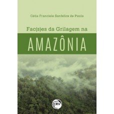 Fac(s)es da grilagem na Amazônia