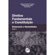 Direitos fundamentais e constituição