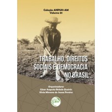 Trabalho, direitos sociais e democracia no Brasil