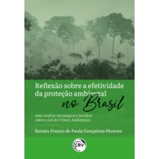 Reflexão sobre a efetividade da proteção ambiental no Brasil