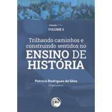 Trilhando caminhos e construindo sentidos no ensino de história