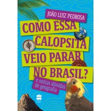 Como essa calopsita veio parar no Brasil? E outras dúvidas de geografia