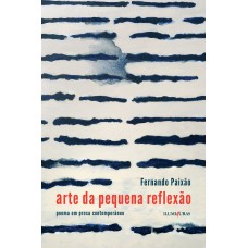 Arte da pequena reflexão poema em prosa contemporâneo