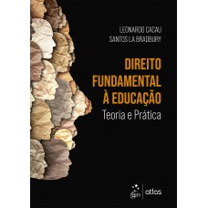 Direito Fundamental à Educação - Teoria e Prática