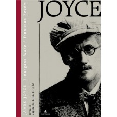 Finnegans Wake / Finnicius Revém