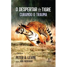 O despertar do tigre