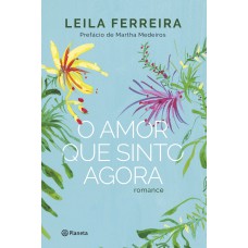 O amor que sinto agora
