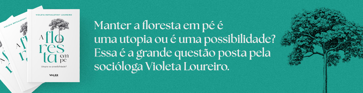 FLORESTA EM PÉ